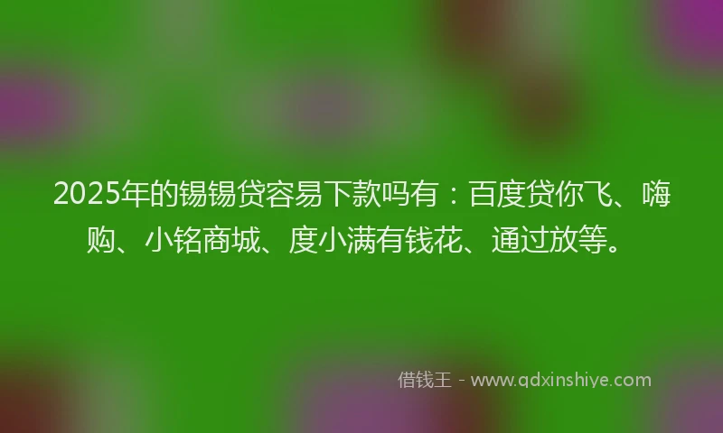 2025年的锡锡贷容易下款吗有：百度贷你飞、嗨购、小铭商城、度小满有钱花、通过放等。