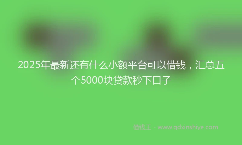 2025年最新还有什么小额平台可以借钱，汇总五个5000块贷款秒下口子