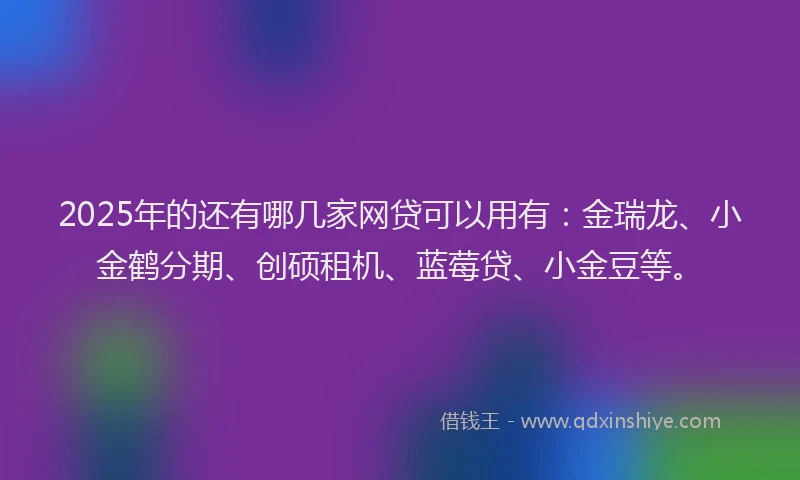2025年的还有哪几家网贷可以用有：金瑞龙、小金鹤分期、创硕租机、蓝莓贷、小金豆等。
