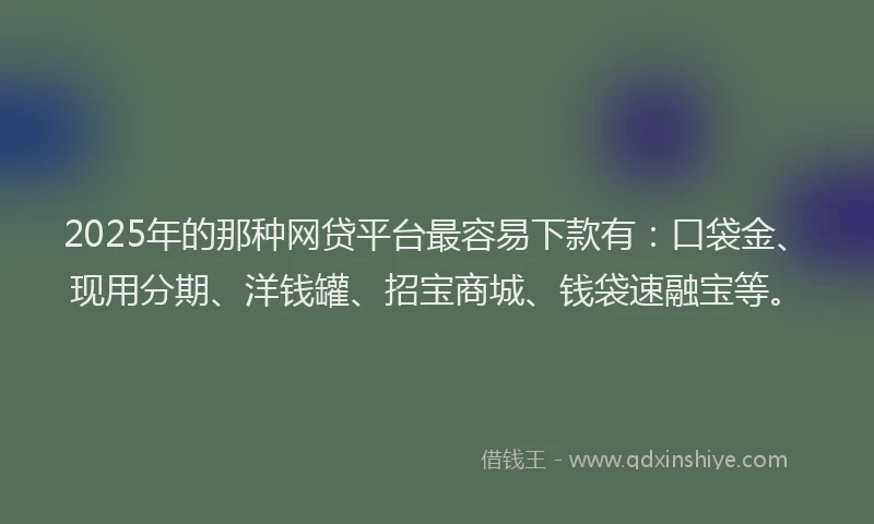 2025年的那种网贷平台最容易下款有：口袋金、现用分期、洋钱罐、招宝商城、钱袋速融宝等。