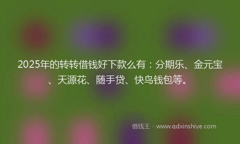 2025年的转转借钱好下款么有：分期乐、金元宝、天源花、随手贷、快鸟钱包等。