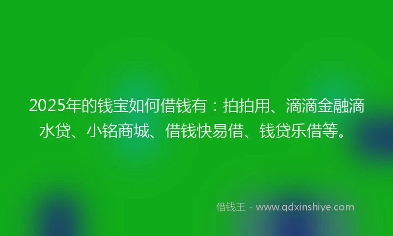 2025年的钱宝如何借钱有：拍拍用、滴滴金融滴水贷、小铭商城、借钱快易借、钱贷乐借等。
