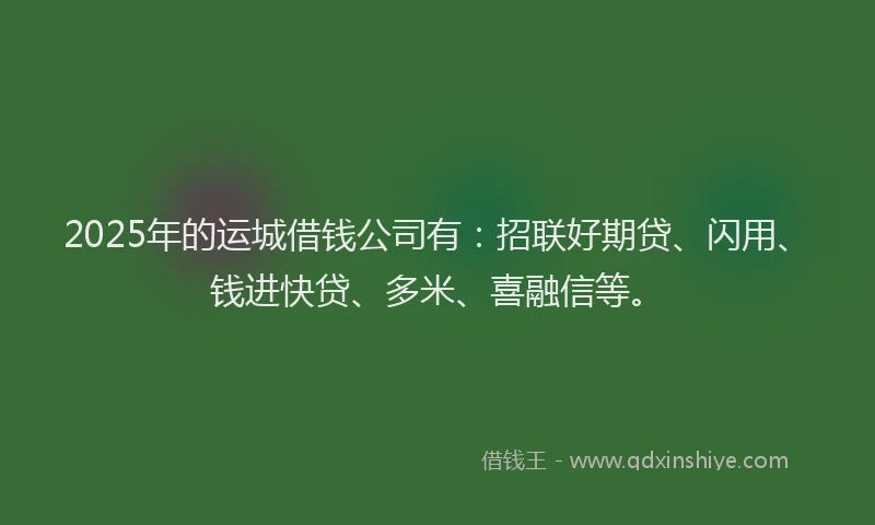 2025年的运城借钱公司有：招联好期贷、闪用、钱进快贷、多米、喜融信等。