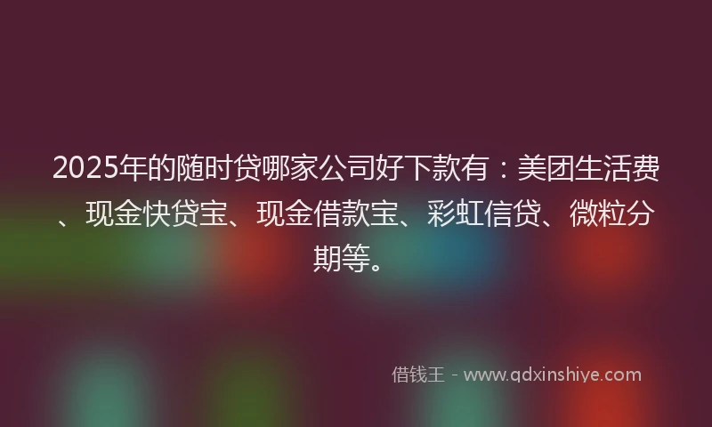 2025年的随时贷哪家公司好下款有：美团生活费、现金快贷宝、现金借款宝、彩虹信贷、微粒分期等。
