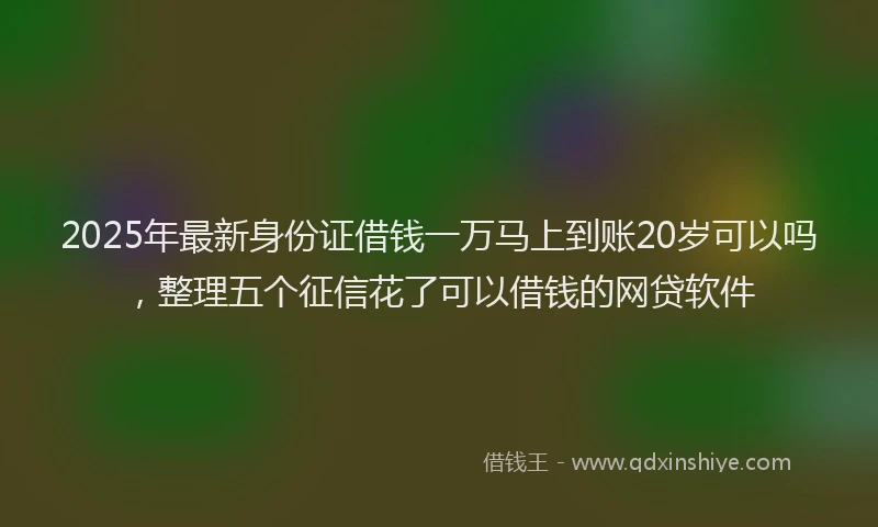 2025年最新身份证借钱一万马上到账20岁可以吗，整理五个征信花了可以借钱的网贷软件