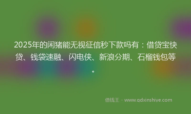 2025年的闲猪能无视征信秒下款吗有：借贷宝快贷、钱袋速融、闪电侠、新浪分期、石榴钱包等。