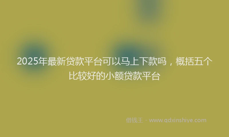 2025年最新贷款平台可以马上下款吗，概括五个比较好的小额贷款平台
