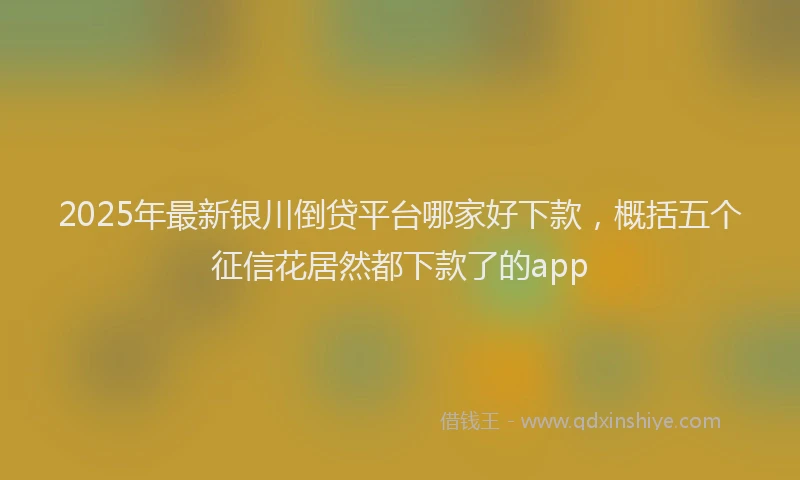 2025年最新银川倒贷平台哪家好下款，概括五个征信花居然都下款了的app
