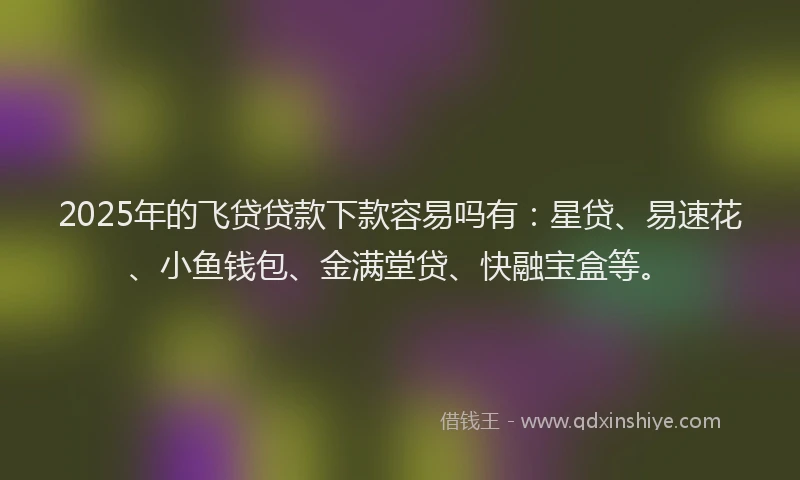 2025年的飞贷贷款下款容易吗有：星贷、易速花、小鱼钱包、金满堂贷、快融宝盒等。