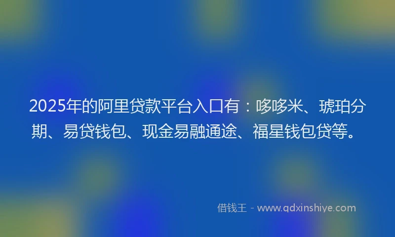 2025年的阿里贷款平台入口有：哆哆米、琥珀分期、易贷钱包、现金易融通途、福星钱包贷等。