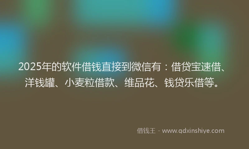 2025年的软件借钱直接到微信有：借贷宝速借、洋钱罐、小麦粒借款、维品花、钱贷乐借等。