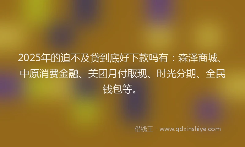 2025年的迫不及贷到底好下款吗有：森泽商城、中原消费金融、美团月付取现、时光分期、全民钱包等。