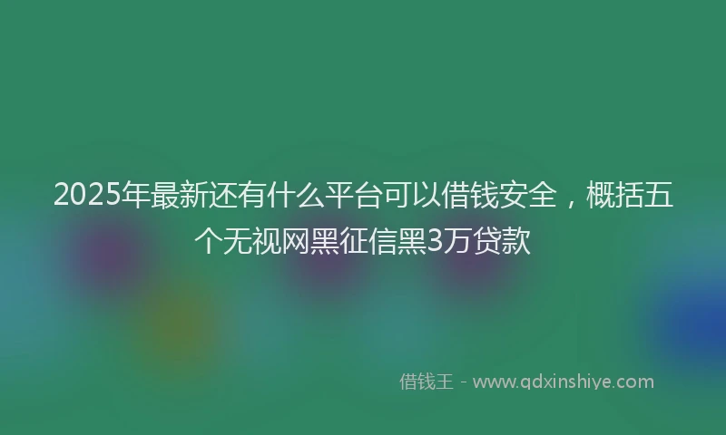 2025年最新还有什么平台可以借钱安全，概括五个无视网黑征信黑3万贷款