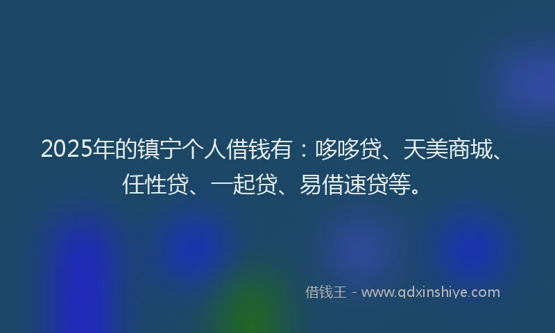 2025年的镇宁个人借钱有：哆哆贷、天美商城、任性贷、一起贷、易借速贷等。