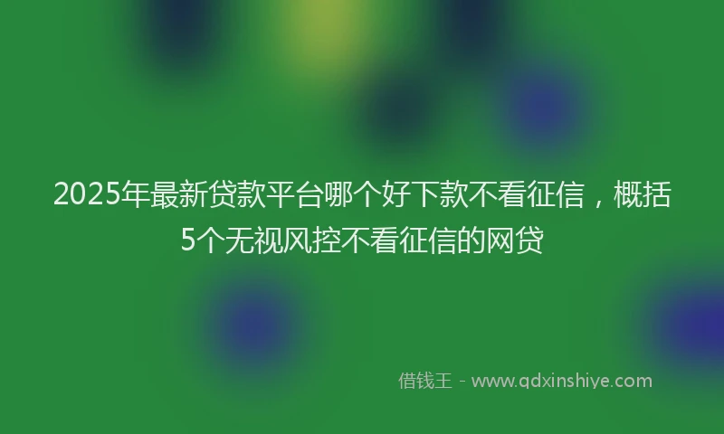 2025年最新贷款平台哪个好下款不看征信，概括5个无视风控不看征信的网贷