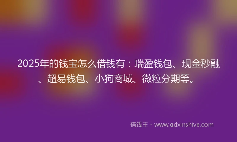 2025年的钱宝怎么借钱有：瑞盈钱包、现金秒融、超易钱包、小狗商城、微粒分期等。