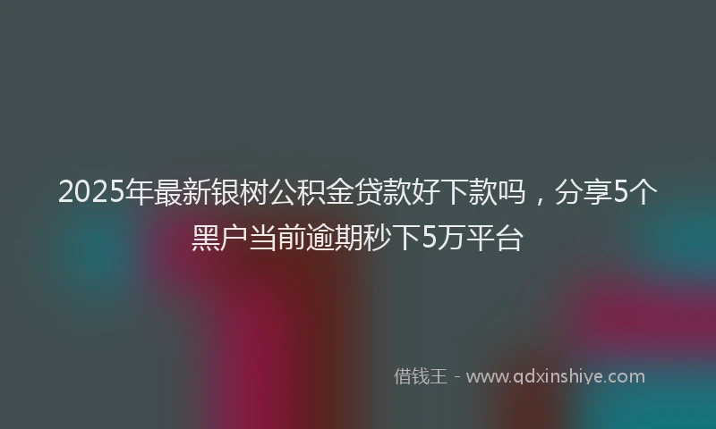 2025年最新银树公积金贷款好下款吗，分享5个黑户当前逾期秒下5万平台