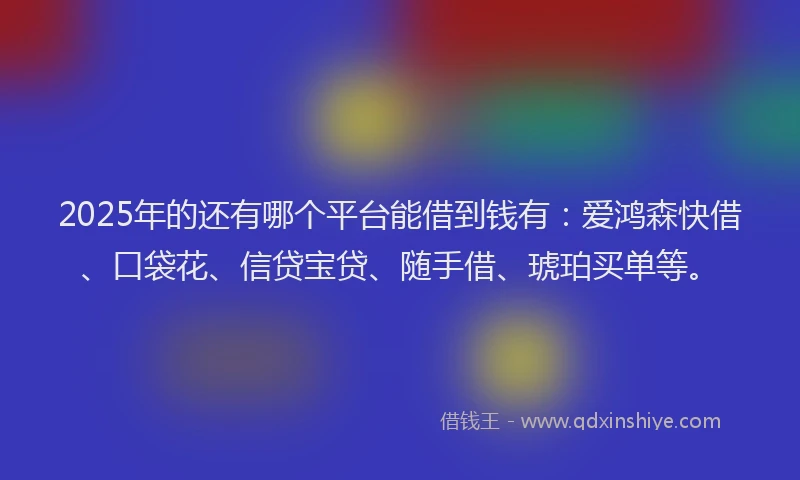 2025年的还有哪个平台能借到钱有：爱鸿森快借、口袋花、信贷宝贷、随手借、琥珀买单等。