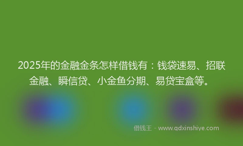 2025年的金融金条怎样借钱有：钱袋速易、招联金融、瞬信贷、小金鱼分期、易贷宝盒等。