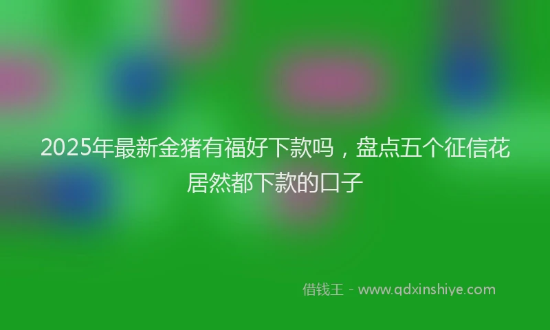 2025年最新金猪有福好下款吗，盘点五个征信花居然都下款的口子