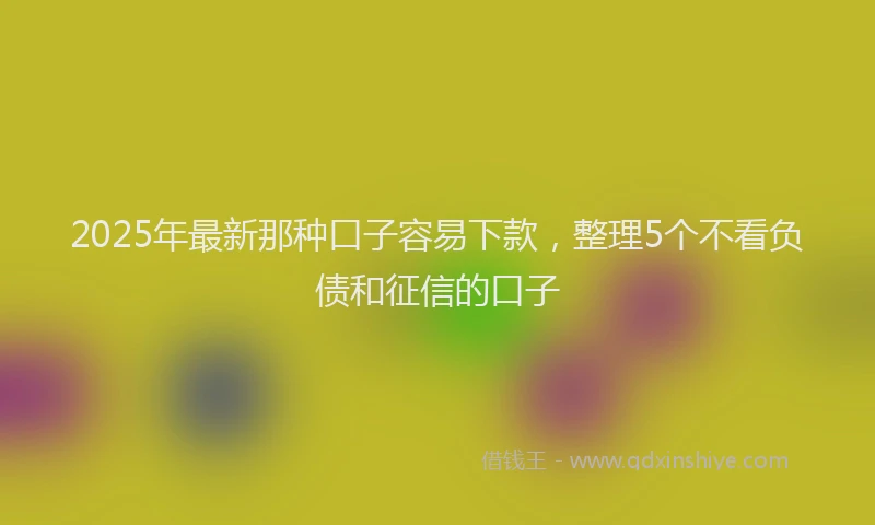 2025年最新那种口子容易下款，整理5个不看负债和征信的口子