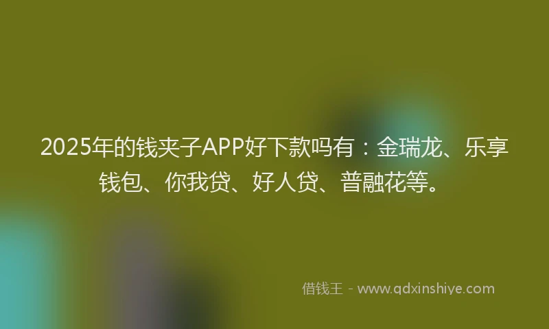 2025年的钱夹子APP好下款吗有：金瑞龙、乐享钱包、你我贷、好人贷、普融花等。