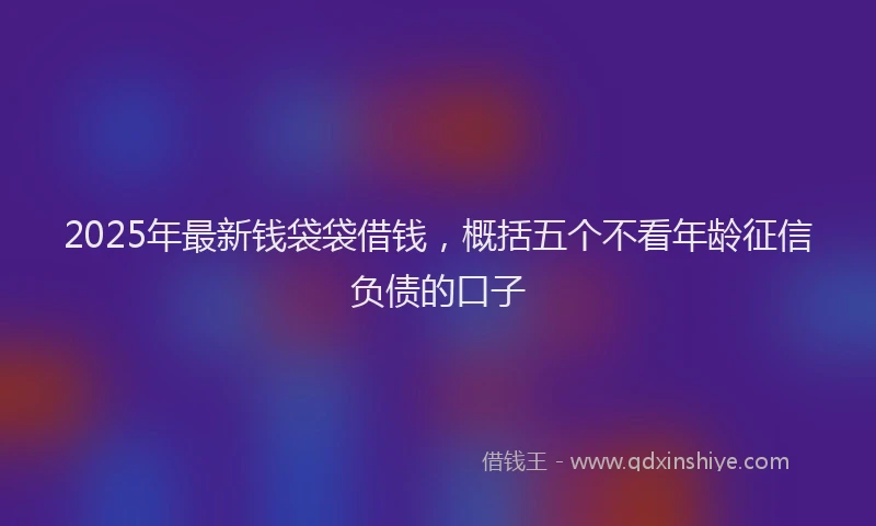 2025年最新钱袋袋借钱，概括五个不看年龄征信负债的口子
