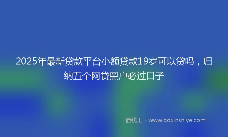 2025年最新贷款平台小额贷款19岁可以贷吗，归纳五个网贷黑户必过口子
