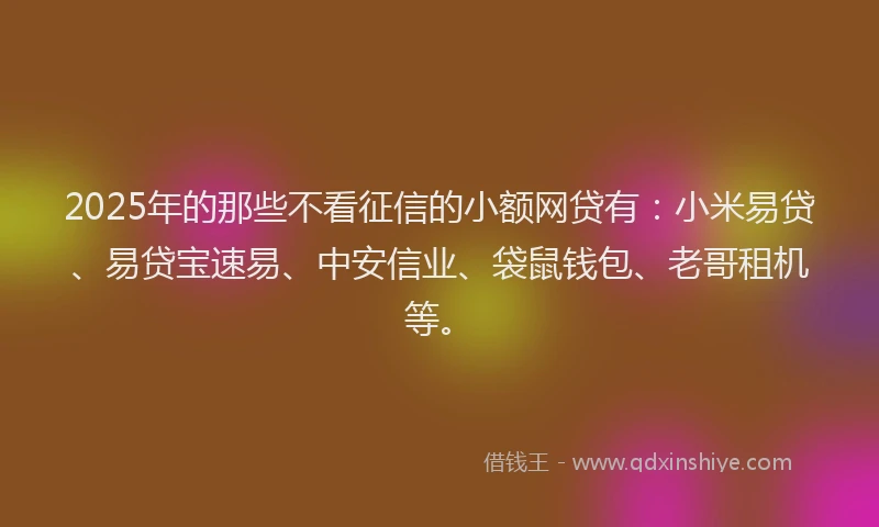 2025年的那些不看征信的小额网贷有：小米易贷、易贷宝速易、中安信业、袋鼠钱包、老哥租机等。