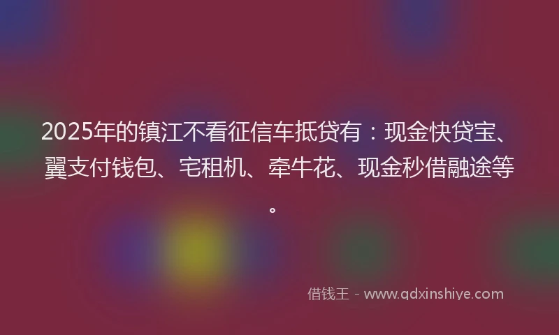 2025年的镇江不看征信车抵贷有：现金快贷宝、翼支付钱包、宅租机、牵牛花、现金秒借融途等。