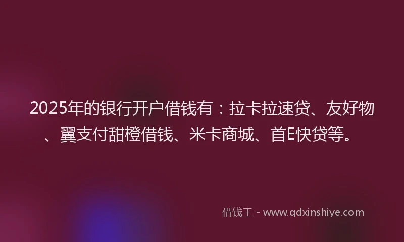 2025年的银行开户借钱有：拉卡拉速贷、友好物、翼支付甜橙借钱、米卡商城、首E快贷等。