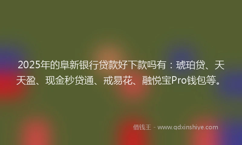 2025年的阜新银行贷款好下款吗有：琥珀贷、天天盈、现金秒贷通、戒易花、融悦宝Pro钱包等。