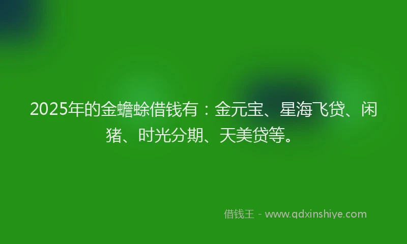 2025年的金蟾蜍借钱有：金元宝、星海飞贷、闲猪、时光分期、天美贷等。
