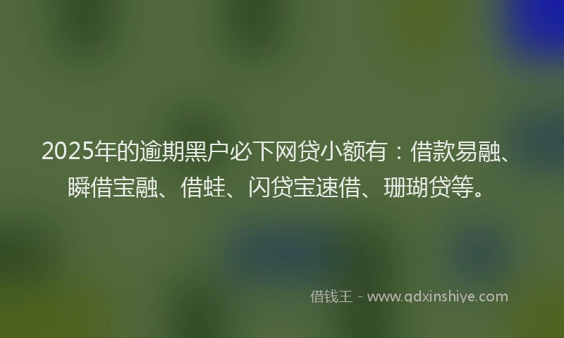 2025年的逾期黑户必下网贷小额有：借款易融、瞬借宝融、借蛙、闪贷宝速借、珊瑚贷等。