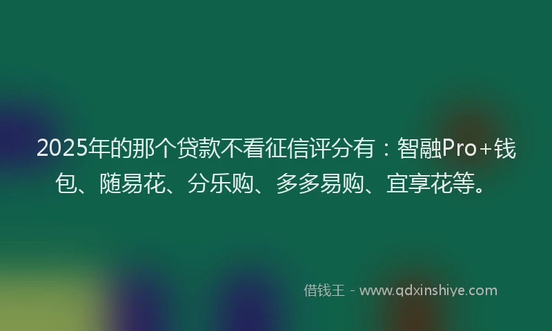 2025年的那个贷款不看征信评分有：智融Pro+钱包、随易花、分乐购、多多易购、宜享花等。