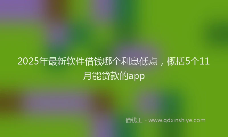 2025年最新软件借钱哪个利息低点，概括5个11月能贷款的app