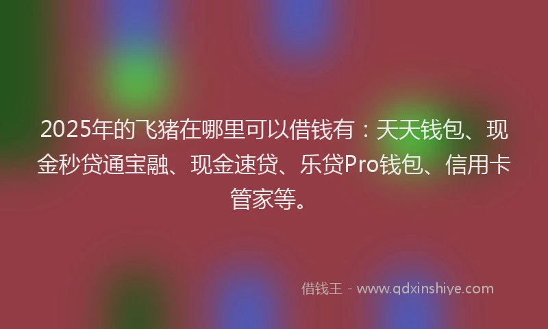 2025年的飞猪在哪里可以借钱有：天天钱包、现金秒贷通宝融、现金速贷、乐贷Pro钱包、信用卡管家等。