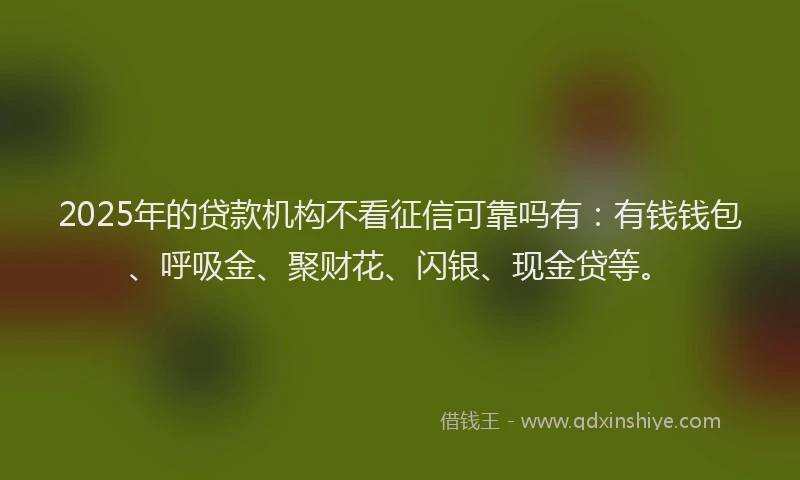 2025年的贷款机构不看征信可靠吗有：有钱钱包、呼吸金、聚财花、闪银、现金贷等。
