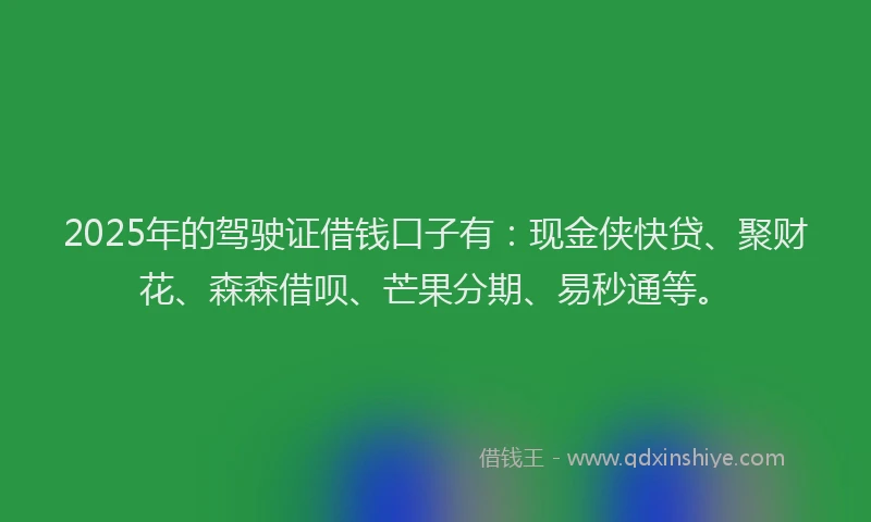 2025年的驾驶证借钱口子有：现金侠快贷、聚财花、森森借呗、芒果分期、易秒通等。