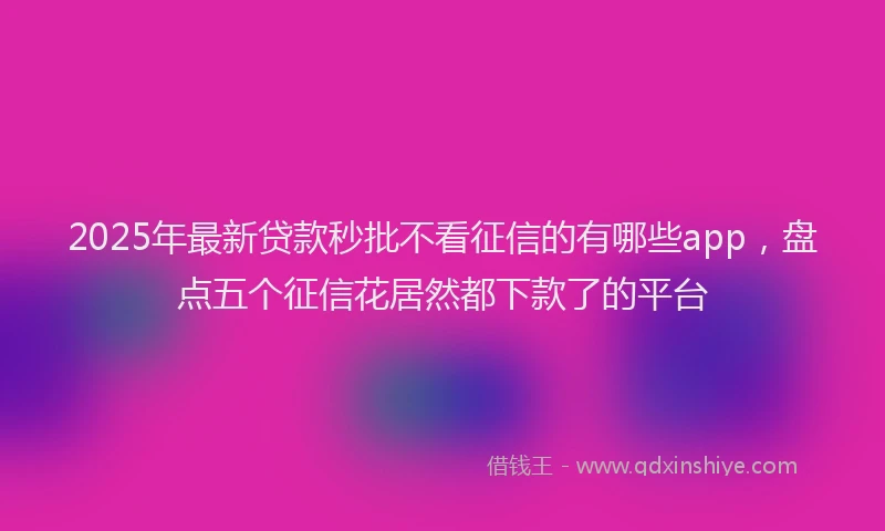 2025年最新贷款秒批不看征信的有哪些app，盘点五个征信花居然都下款了的平台