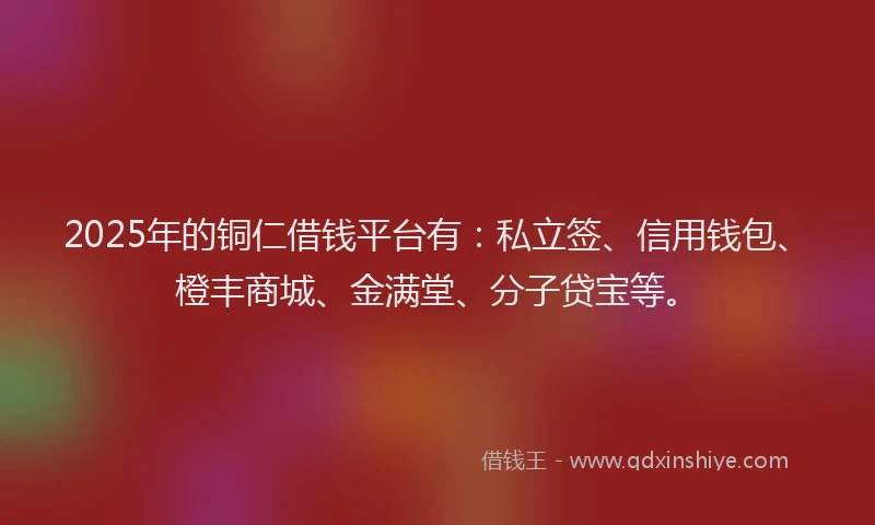 2025年的铜仁借钱平台有：私立签、信用钱包、橙丰商城、金满堂、分子贷宝等。