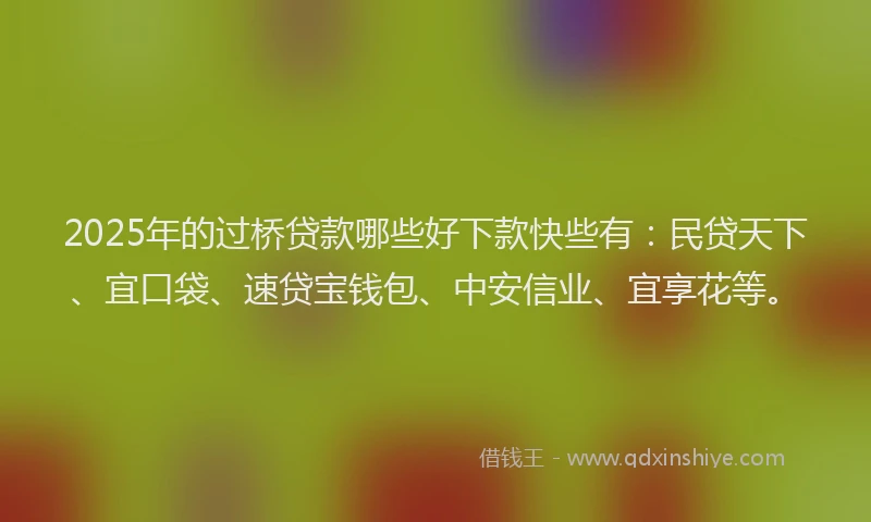 2025年的过桥贷款哪些好下款快些有：民贷天下、宜口袋、速贷宝钱包、中安信业、宜享花等。