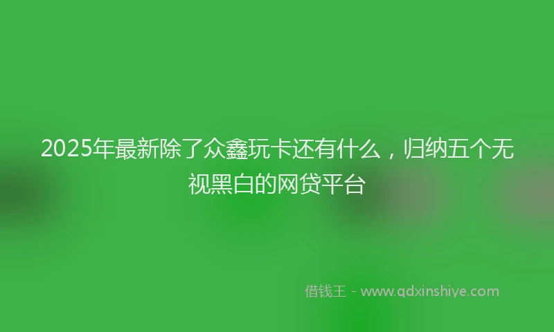 2025年最新除了众鑫玩卡还有什么，归纳五个无视黑白的网贷平台