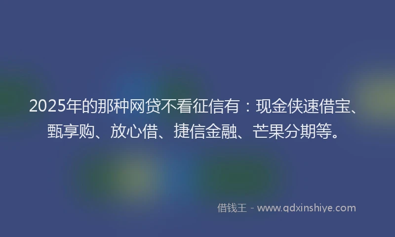 2025年的那种网贷不看征信有：现金侠速借宝、甄享购、放心借、捷信金融、芒果分期等。
