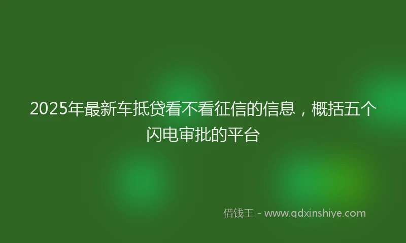 2025年最新车抵贷看不看征信的信息，概括五个闪电审批的平台