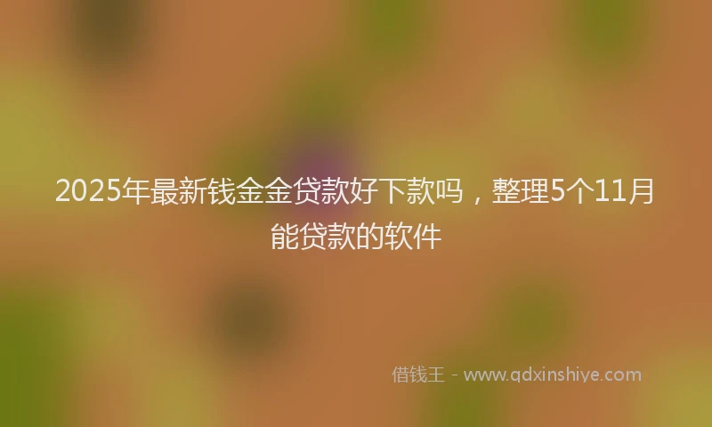 2025年最新钱金金贷款好下款吗，整理5个11月能贷款的软件