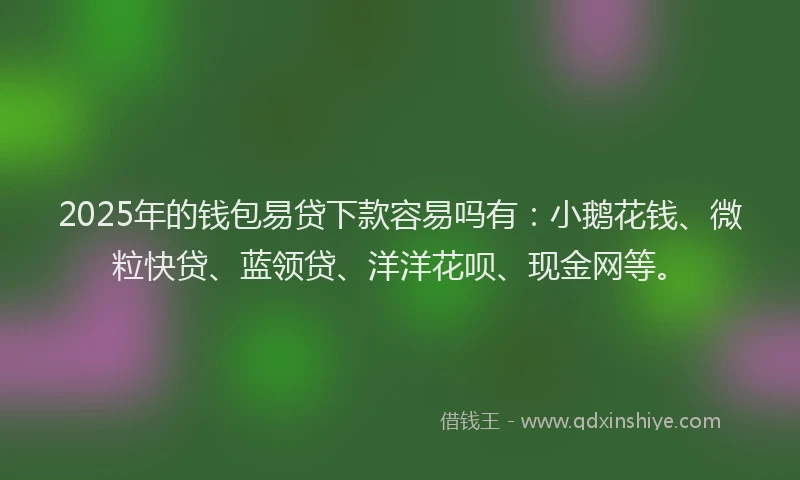 2025年的钱包易贷下款容易吗有：小鹅花钱、微粒快贷、蓝领贷、洋洋花呗、现金网等。