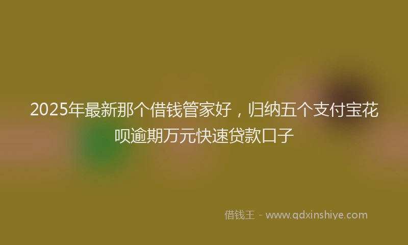 2025年最新那个借钱管家好，归纳五个支付宝花呗逾期万元快速贷款口子