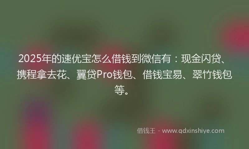 2025年的速优宝怎么借钱到微信有：现金闪贷、携程拿去花、翼贷Pro钱包、借钱宝易、翠竹钱包等。