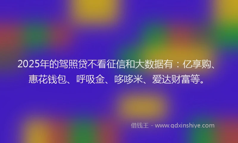 2025年的驾照贷不看征信和大数据有：亿享购、惠花钱包、呼吸金、哆哆米、爱达财富等。